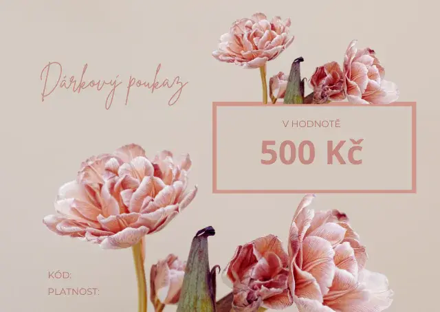 ATAN Dárkový poukaz v hodnotě 500 Kč Elektronický