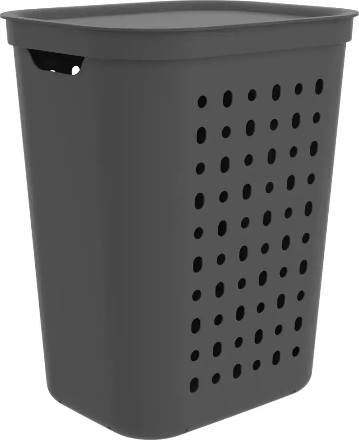 Plastový koš na prádlo 55 l Jona – Rotho
