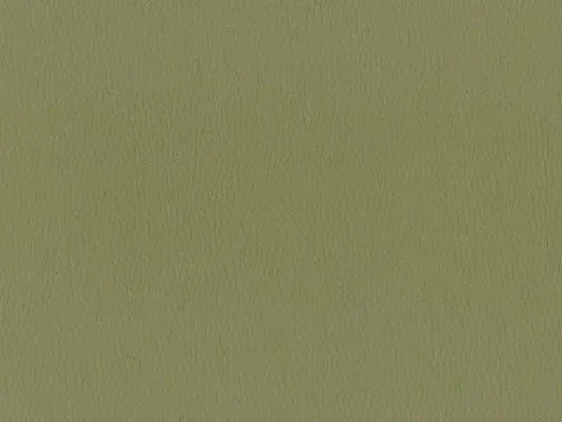 Compo Koženka Dollarone 28