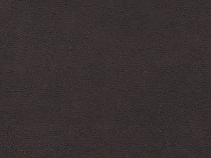 Compo Koženka Gibson 9903