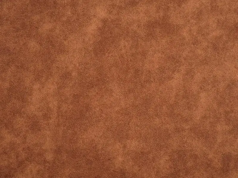 Compo Látka Aniline 407
