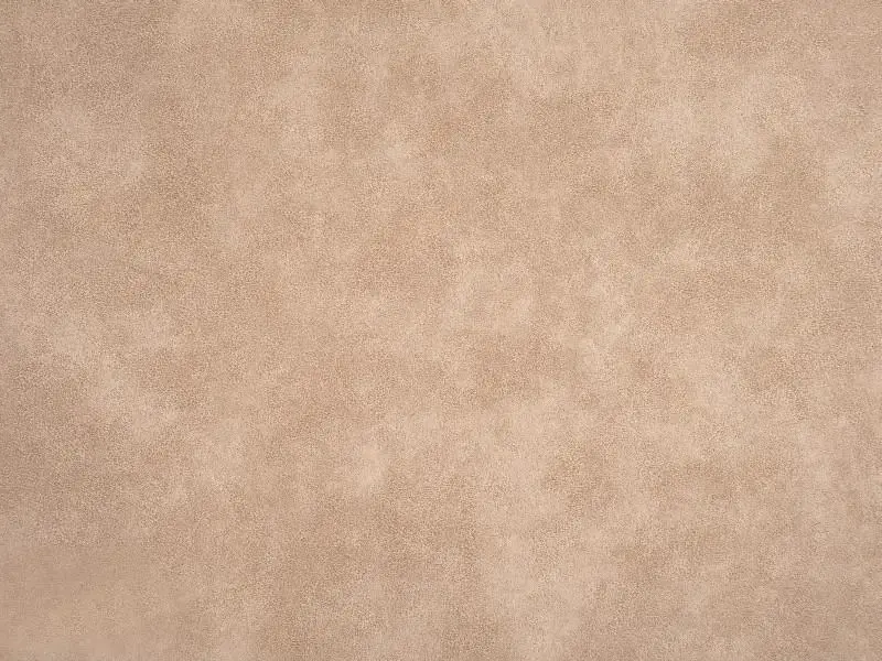 Compo Látka Aniline 401