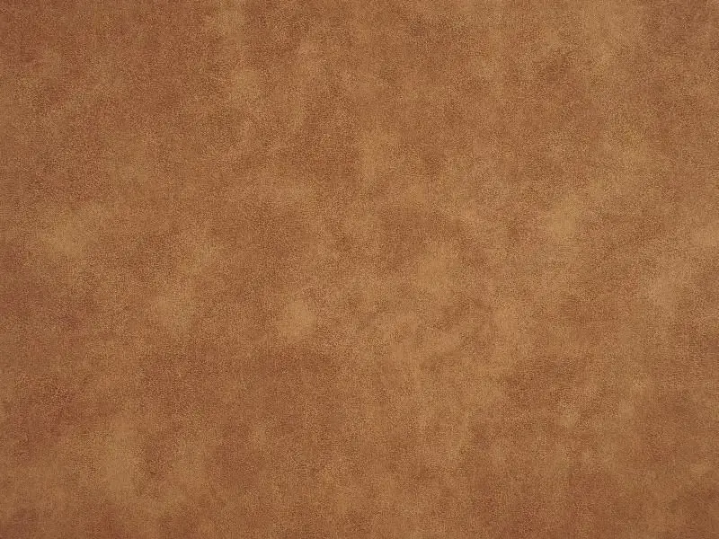 Compo Látka Aniline 300