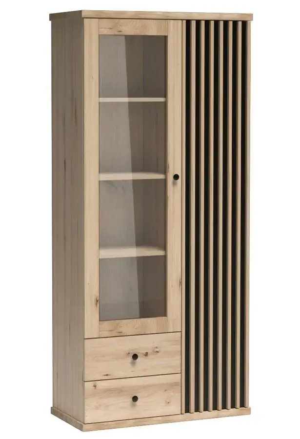 Casarredo Vitrína 2D2S BARBUS dub artisan/černá