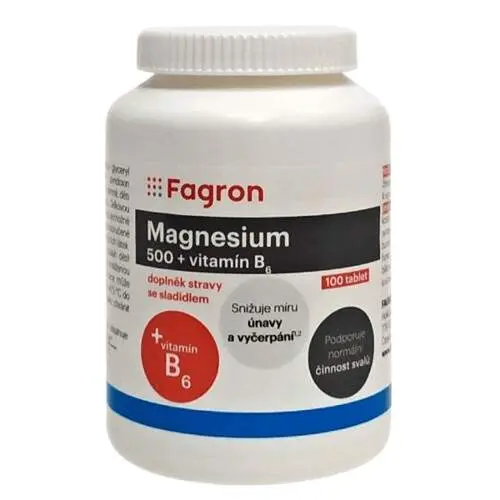 Magnesium 500 + vit.B6 tbl.100 Fagron