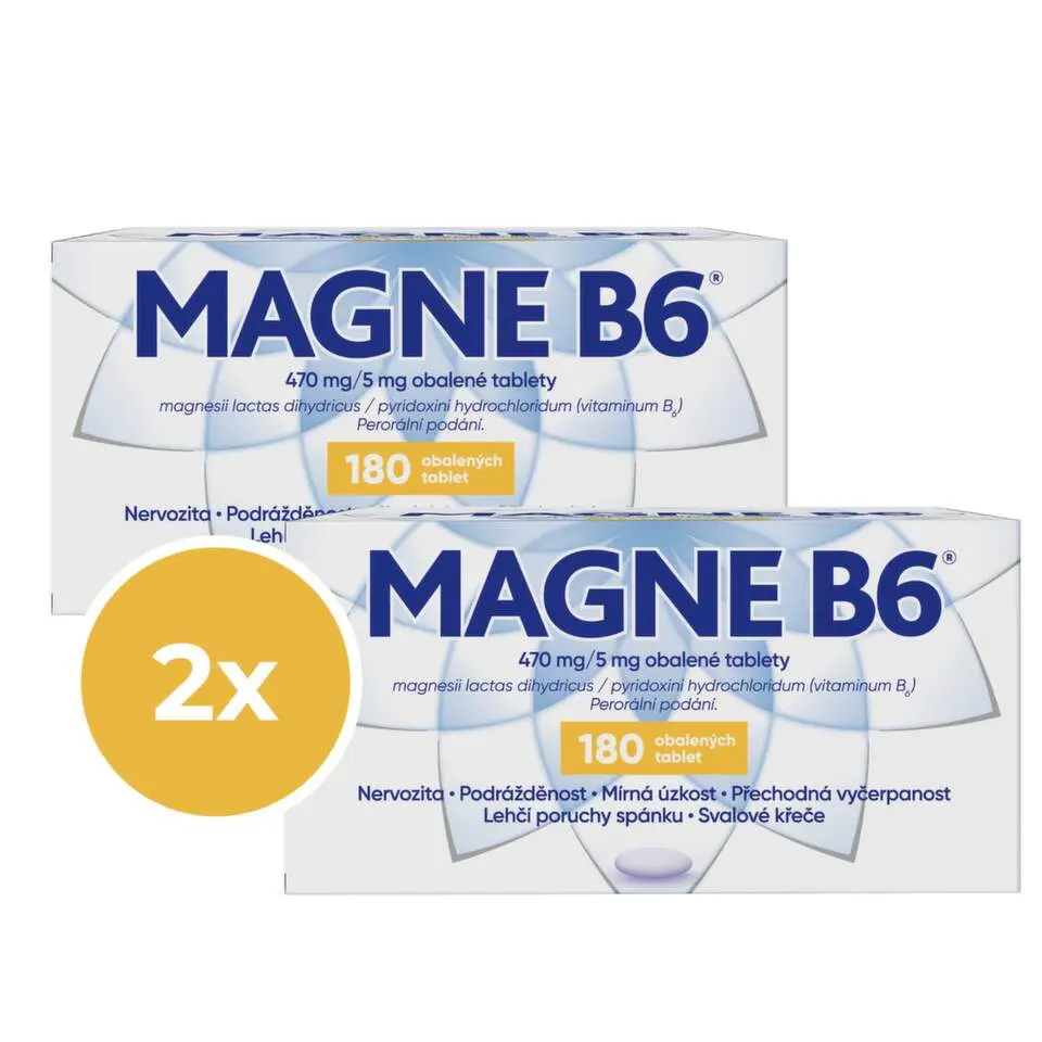 MAGNE B6 470MG/5MG obalené tablety 180 - balení 2 ks