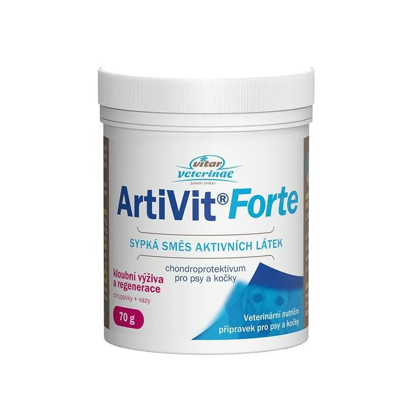 VITAR ArtiVit Forte prášek 70g