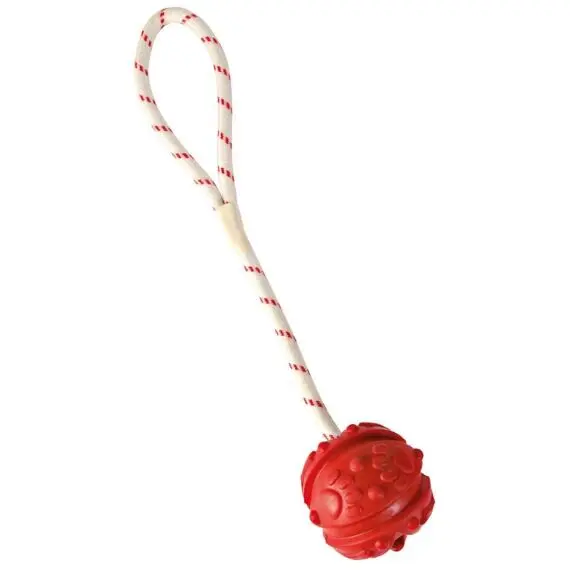Hračka pes Míč plovoucí na šňůrce 7cm/35cm TR