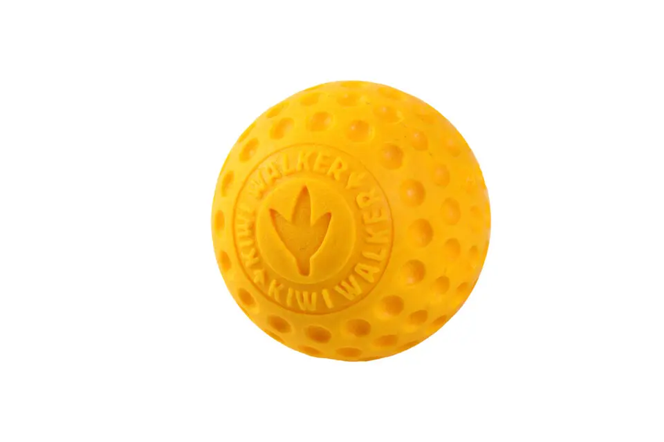 Hračka pes BALL MAXI plov. z TPR