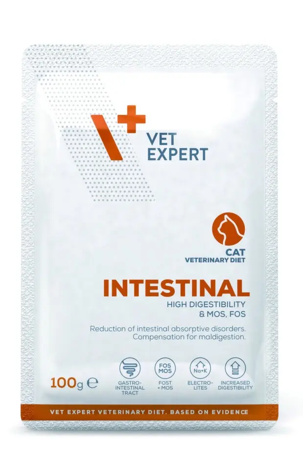 VetExpert VD 4T Intestinal Cat kapsa 100g