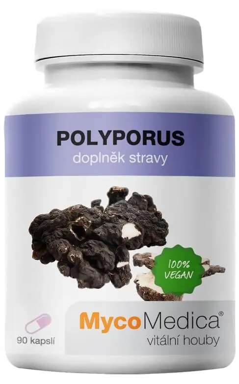 Polyporus, 90 kapslí