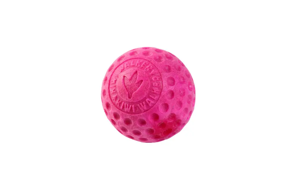 Hračka pes BALL MINI plov. z TPR