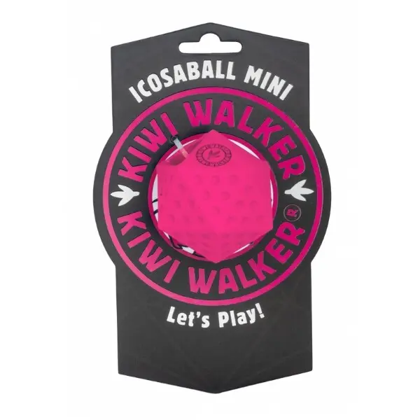 Hračka pes Icosaball mini na pamlsky