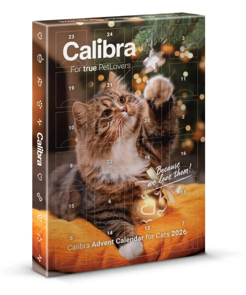Calibra Cat Adventní kalendář 2026