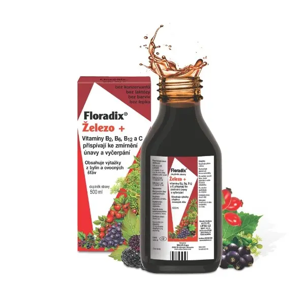 Salus Floradix 500ml