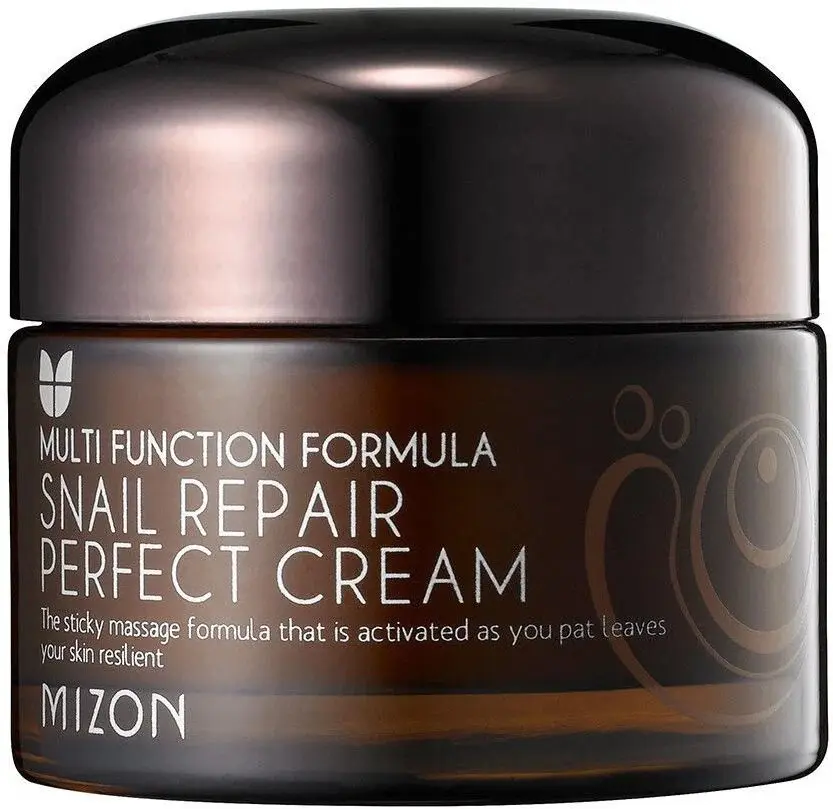 Mizon Pleťový krém s filtrátem hlemýždího sekretu 60% pro problematickou pleť (Snail Repair Perfect Cream) 50 ml