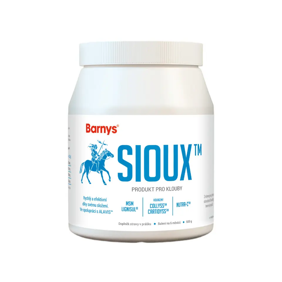 Barny´s Sioux MSM 600 g