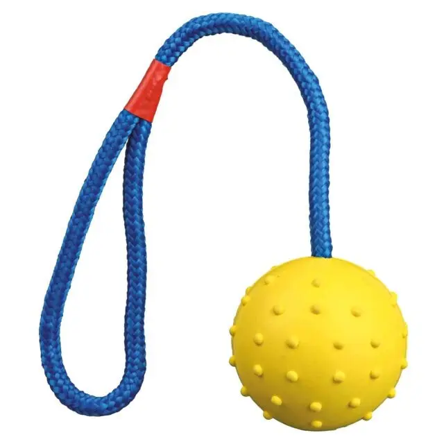 Hračka pes Míč hrbolatý na šňůrce 6cm/30cm TR