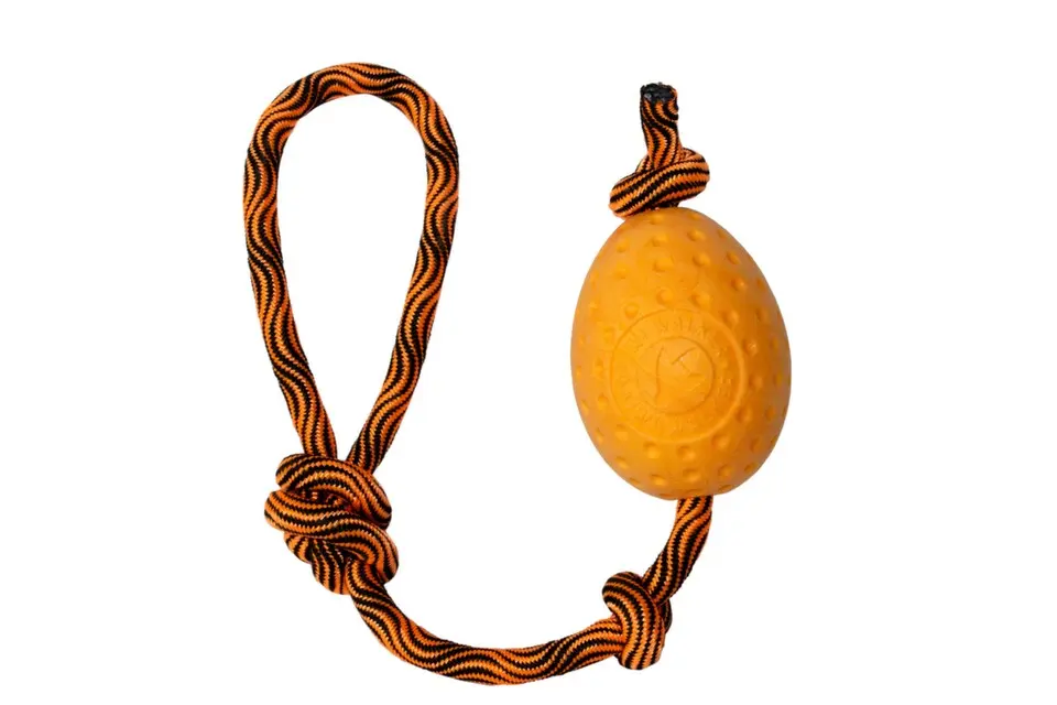 Hračka pes EGG MAXI plov. z TPR oranžová Kiwi