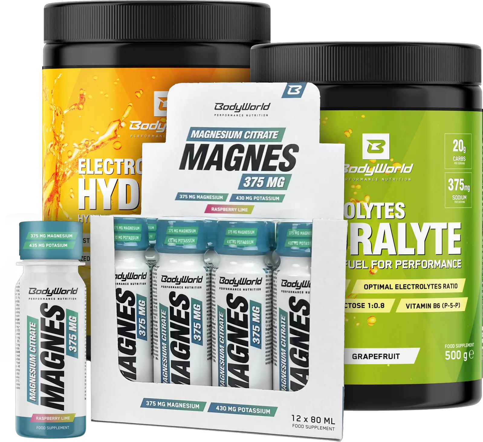 BodyWorld 2x Electrolytes Hydralyte 500 g