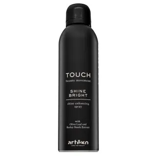Artègo Touch Shine Bright Shine Enhancing Spray stylingový sprej pro lesk vlasů 250 ml