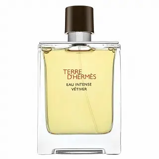 HERMES HERMĒS Terre D'Hermes Intense EDP, 100 ml