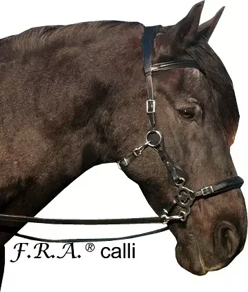 Speciální hackamore uzdečka F.R.A. Calli