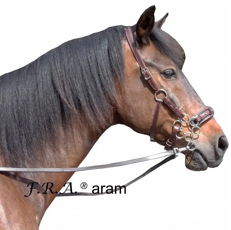 Hackamore uzdečka F.R.A. Aram