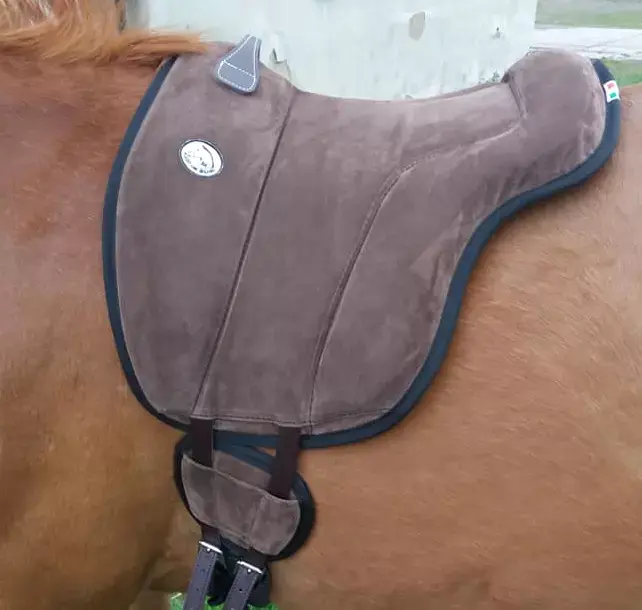 PŮJČOVNA Jezdecký pad Brockamp® včetně podbřišníku ZKUŠEBNÍ (Půjčení padu na 10 dní)