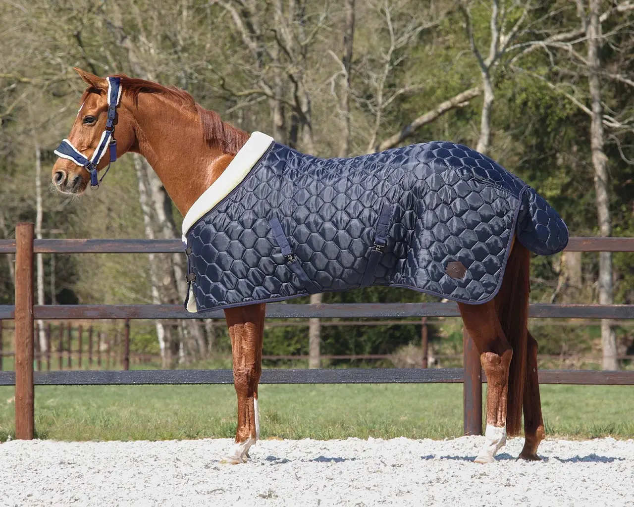 Stájová deka Classy 100g