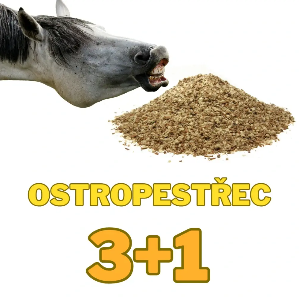 Ostropestřec mariánský drcený 3+1 kg ZDARMA (Celkem 4 l Ostropestřcový panenský za studena lisovaný olej)
