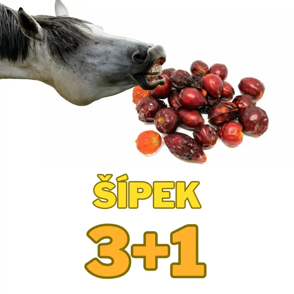 Šípek plod celý 3+1 kg ZDARMA (Cena je celkem za 4kg !)