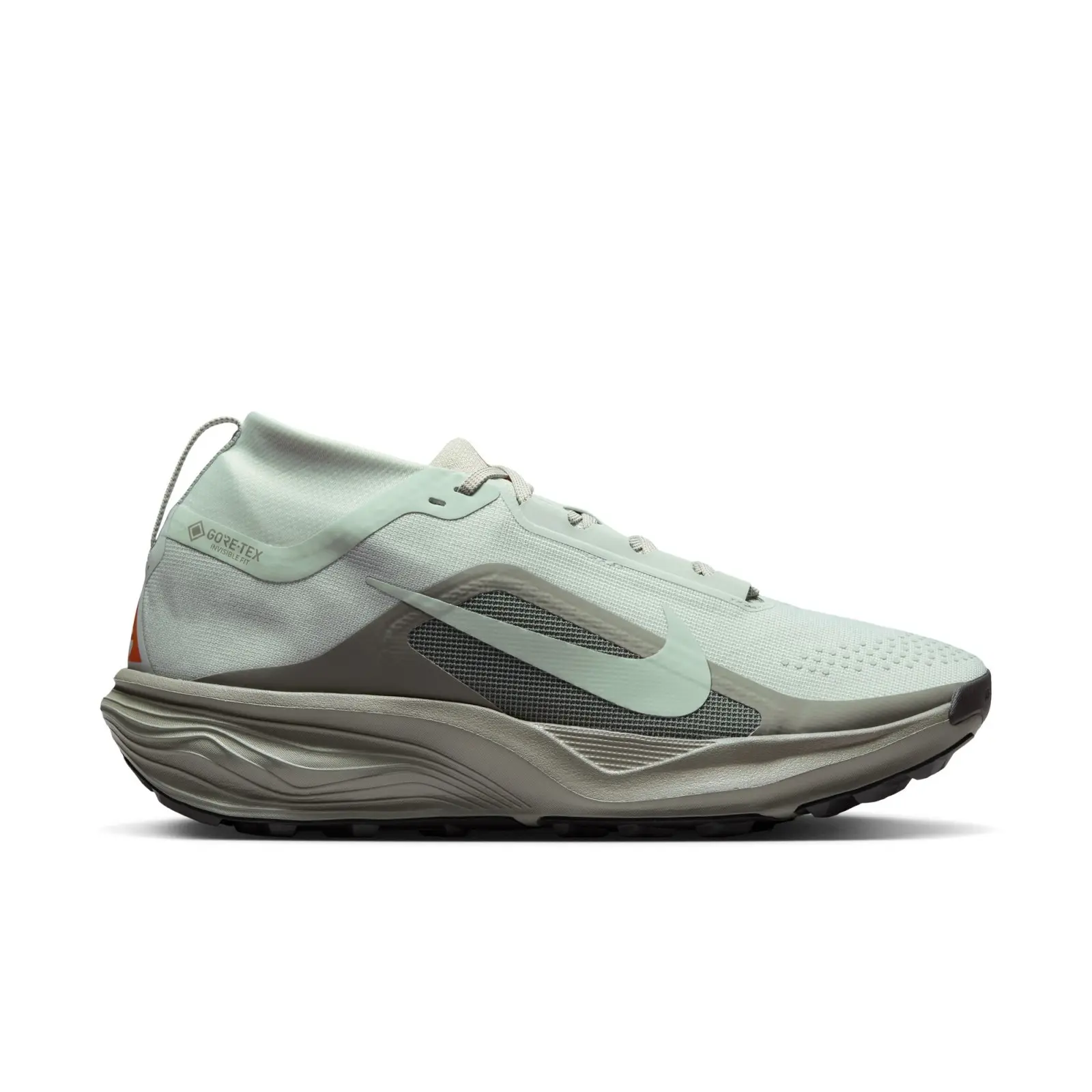 Nike ACG Pegasus Trail GORE-TEX