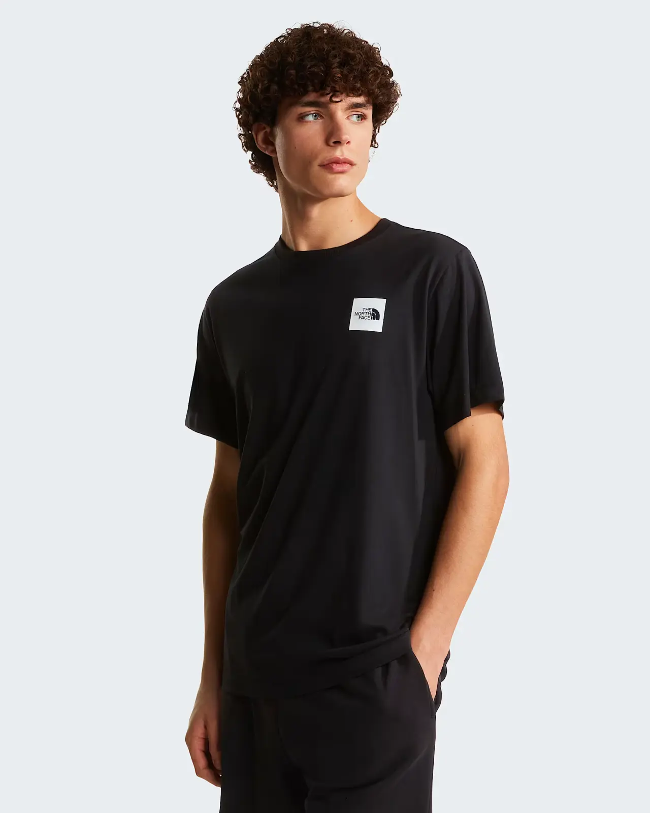 The north face m evo box hd rg ss tee