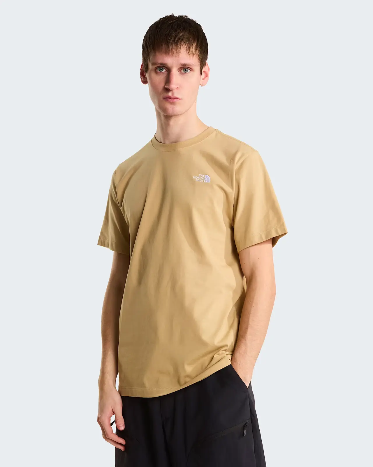 The north face m evo sd reg ss tee