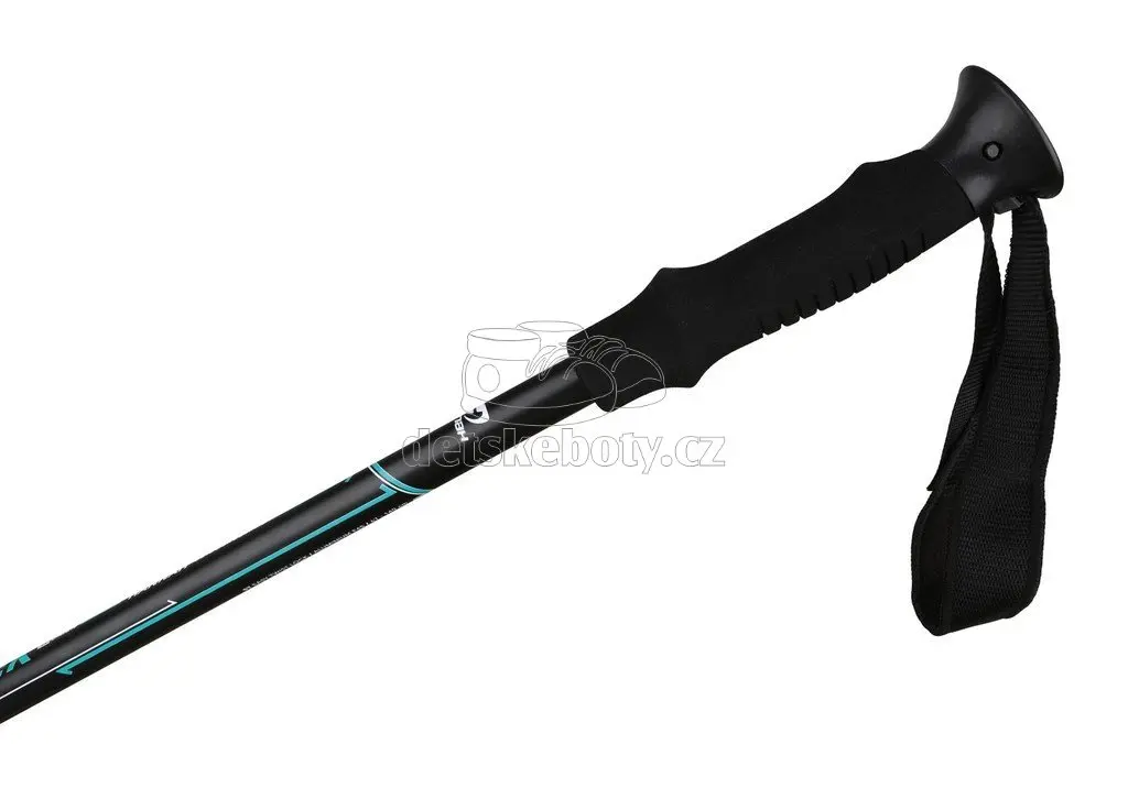 Trek W, Anthracite/turquoise