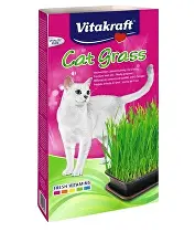 Vitakraft Cat Grass tráva 120g