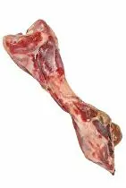 Pochoutka Pes Kost šunková 390g / 24cm Tr 1ks