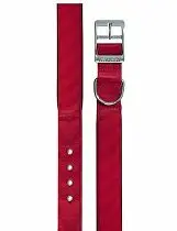 Obojek nylon Daytona C 45cmx25mm červený