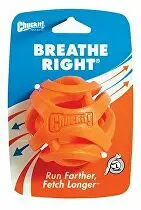 Chuckit! Air Fetch Ball L 1 ks