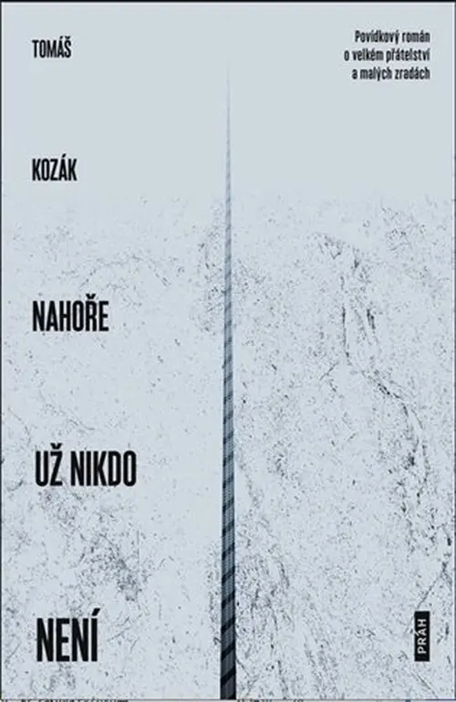 Nahoře už nikdo není - Povídkový román o velkém přátelství a malých zradách - Tomáš Kozák