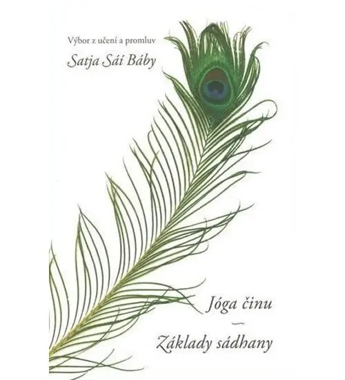 Jóga činu: Základy sádhany