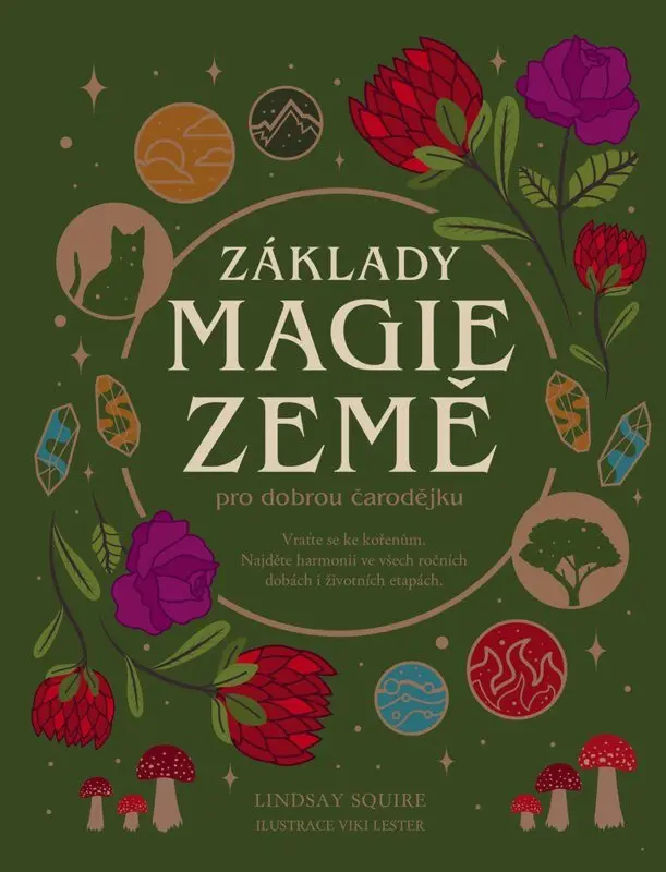 Základy MAGIE ZEMĚ pro dobrou čarodě - Lindsay Squire