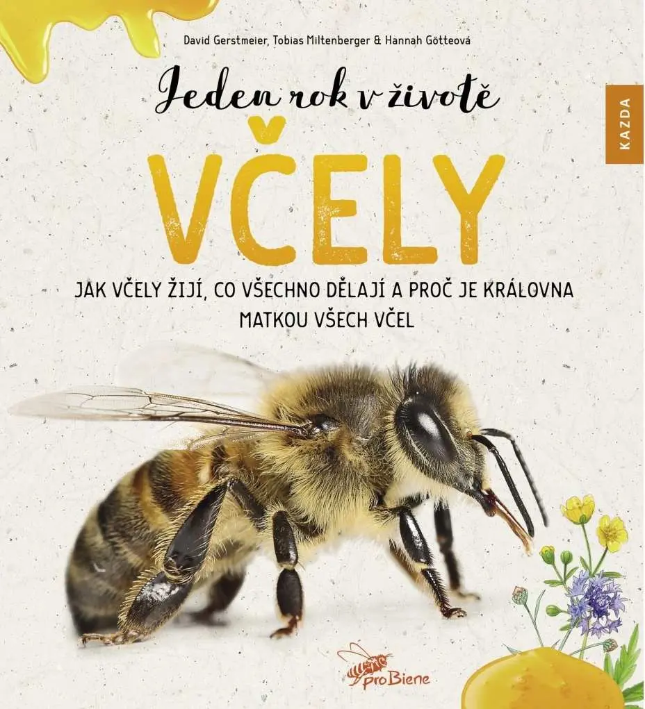 Jeden rok v životě včely - Jak včely žijí, co všechno dělají a proč je královna matkou vše - David Gerstmeier