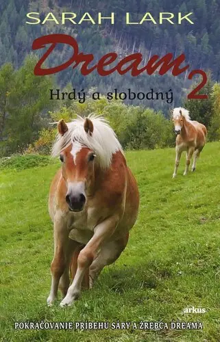 Dream (Sarah Larková,, 2025)