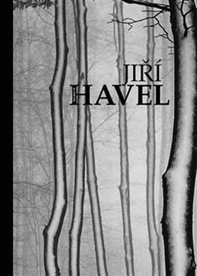 The Best of Jiří Havel - Jiří Havel