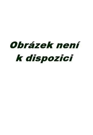 Hlazení duše (v anglickém jazyce) - Václav Budinský