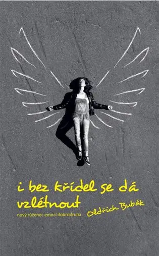 I bez křídel se dá vzlétnout - nový růženec emocí dobrodruha - Oldřich Bubák