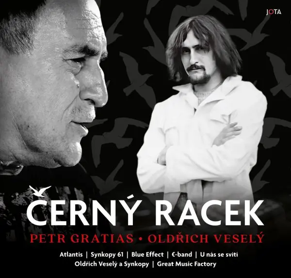 Černý racek
