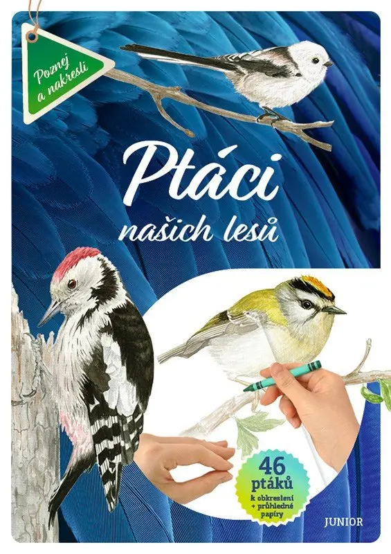 Ptáci našich lesů - 46 ptáků k obkreslení + průhledné papíry - kolektiv autorů